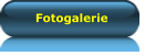Fotogalerie