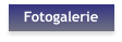 Fotogalerie
