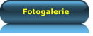 Fotogalerie